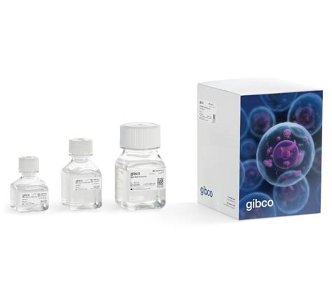 gibco aav max transfection kit